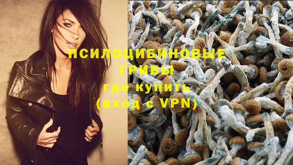 винт Алексеевка