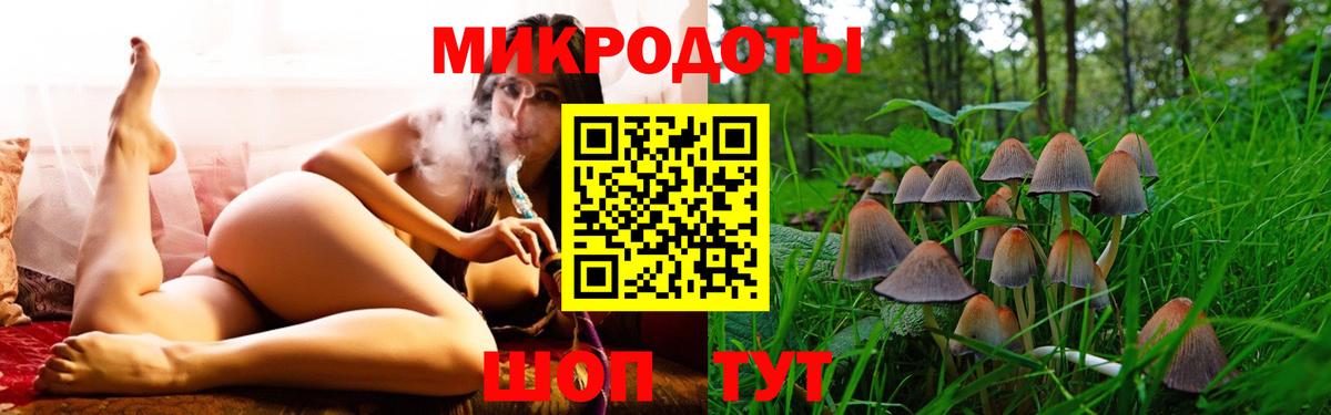 Галлюциногенные грибы Psilocybine cubensis Ливны